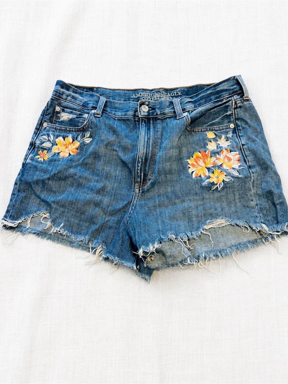 American Eagle Outfitters Blue Floral Embroidered Denim Shorts